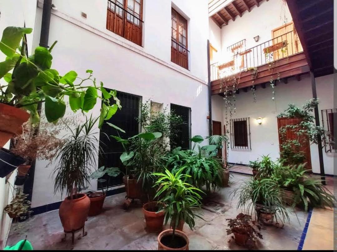 Coco Home Sevilla Urban Apartment Exterior foto